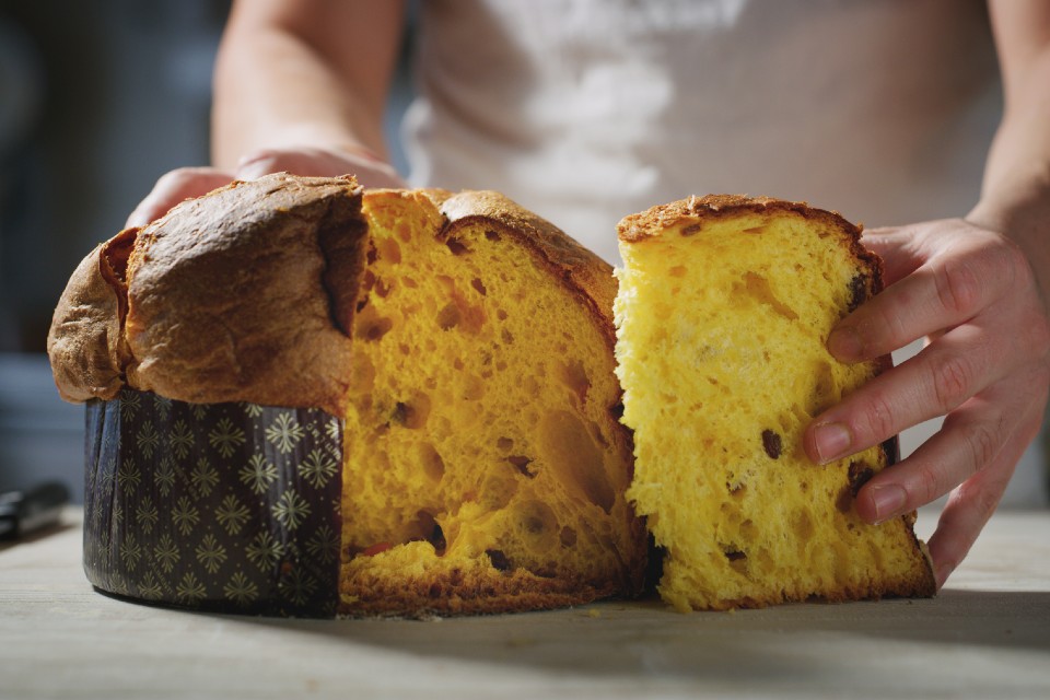 Soft Panettone Singapore