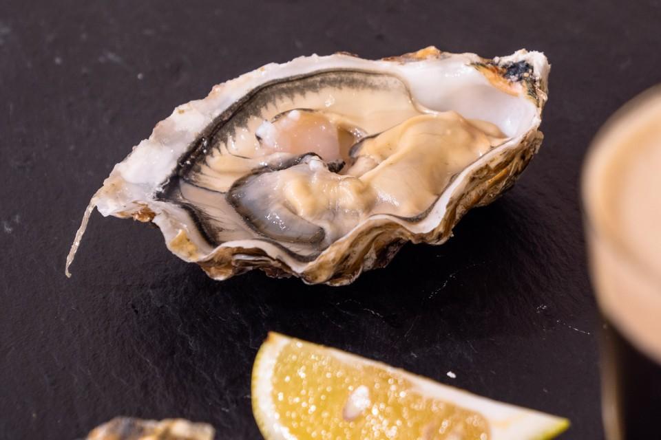 BURN Oysters