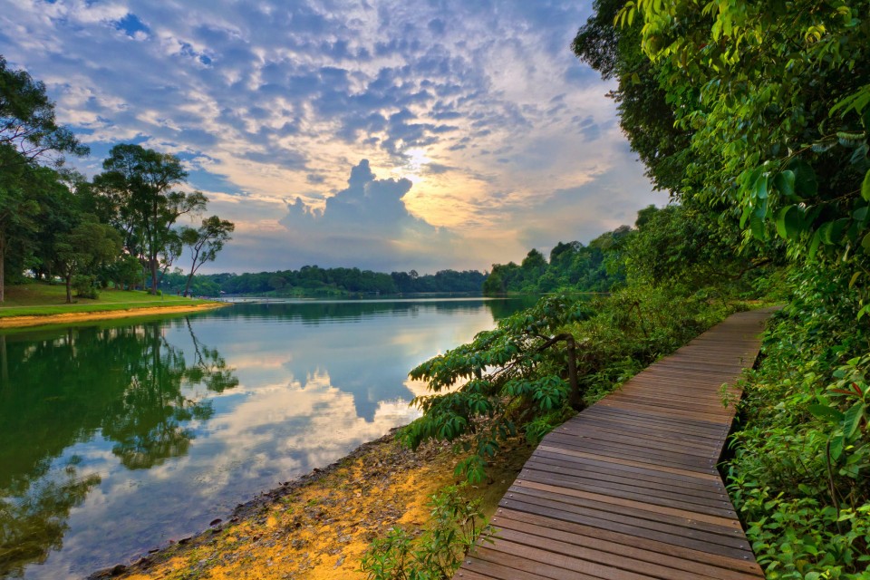 MacRitchie Reservoir