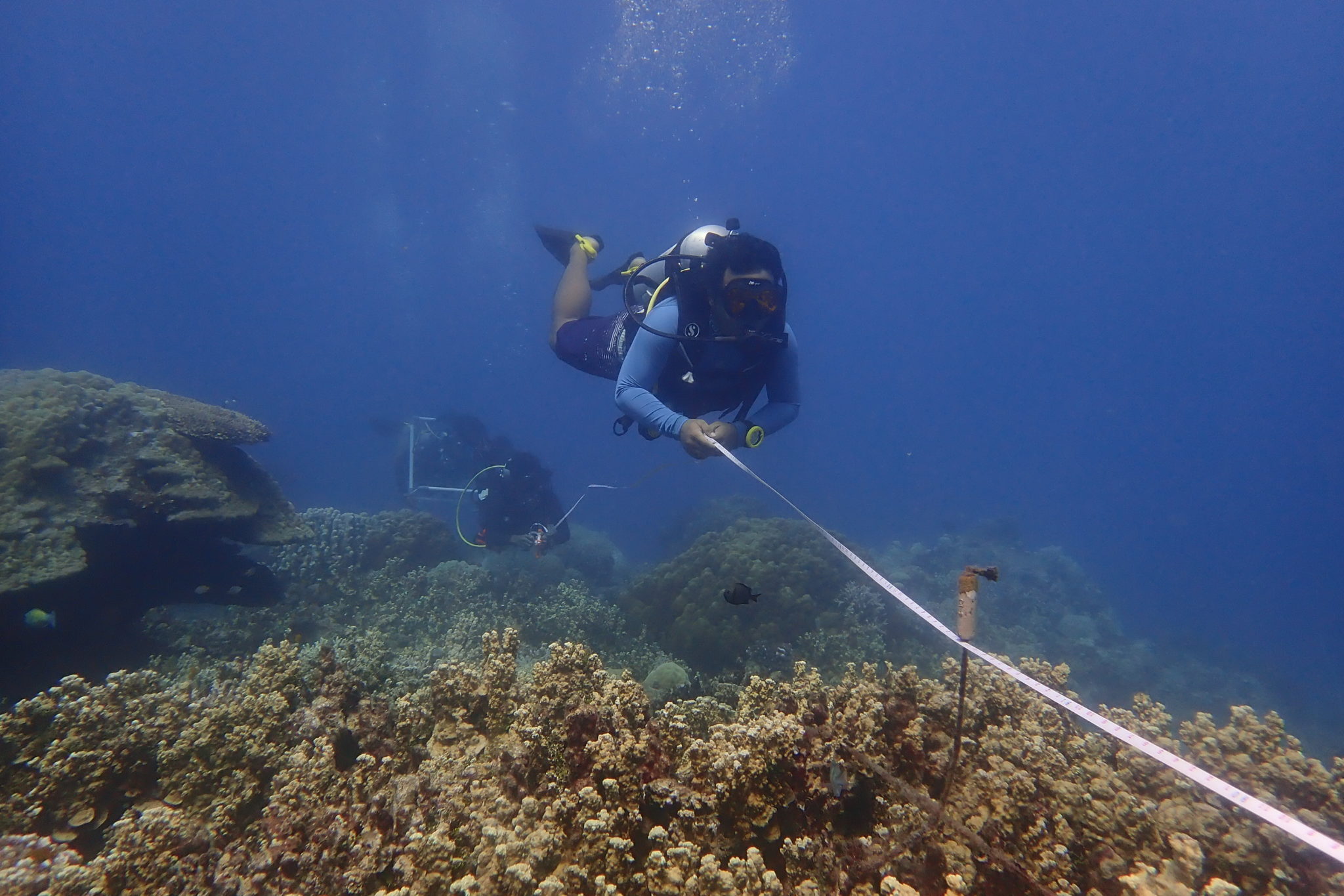 Reef Health Monitoring