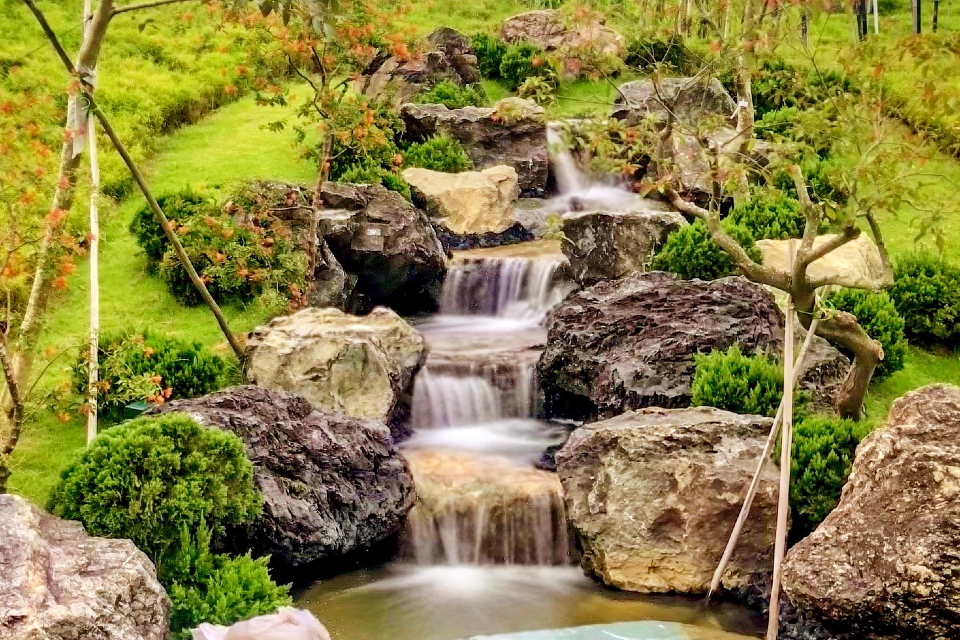 Serene Garden