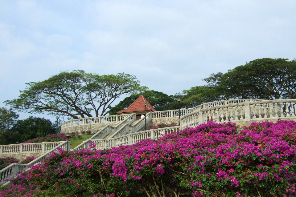 Telok Blangah Hill Park