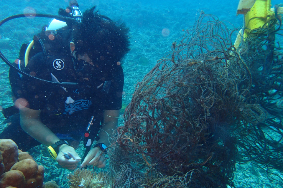 Underwater clean-up