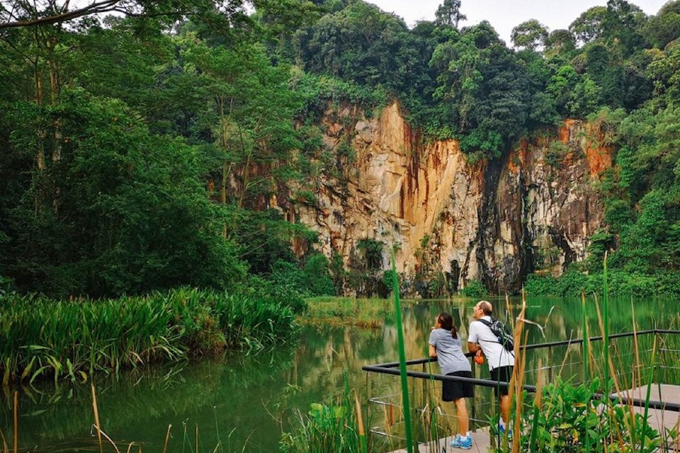 Bukit Timah Nature Reserve