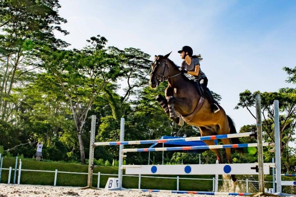 Bukit Timah Saddle Club