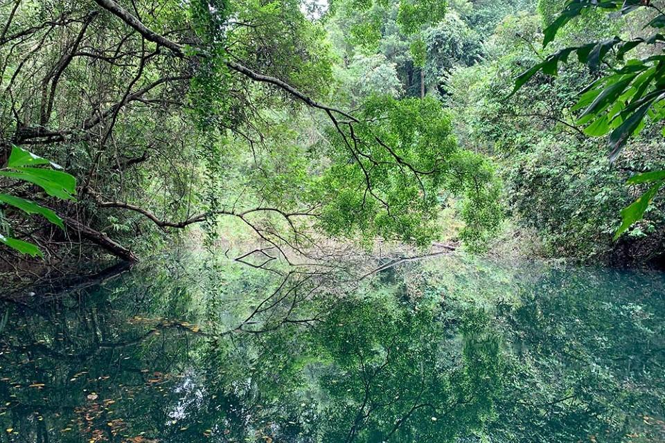 Keppel Hill Reservoir