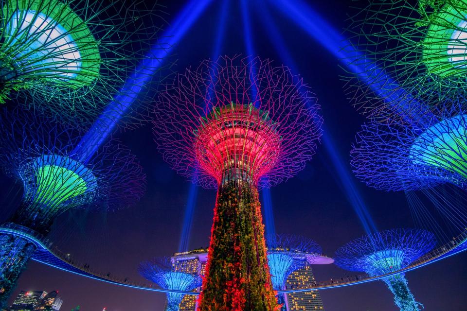 Soak in Nature at these Beautiful Gardens in Singapore