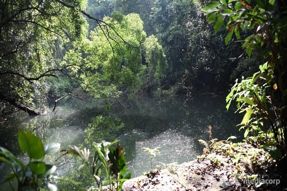 Keppel Hill Reservoir
