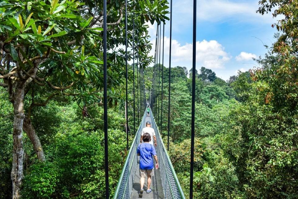 Walking Tracks In Singapore