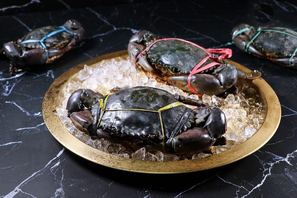 9s seafood