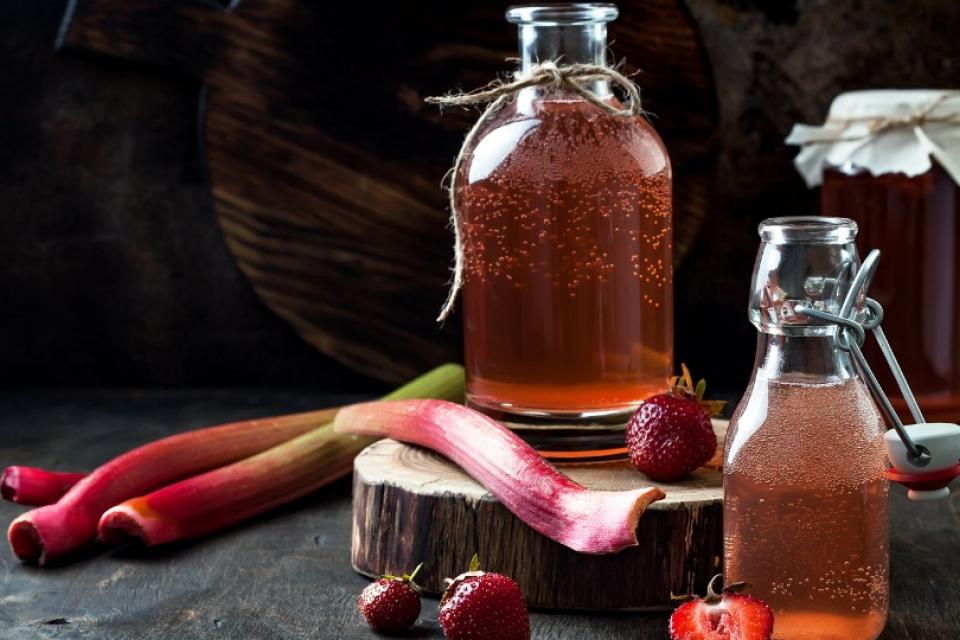 kombucha