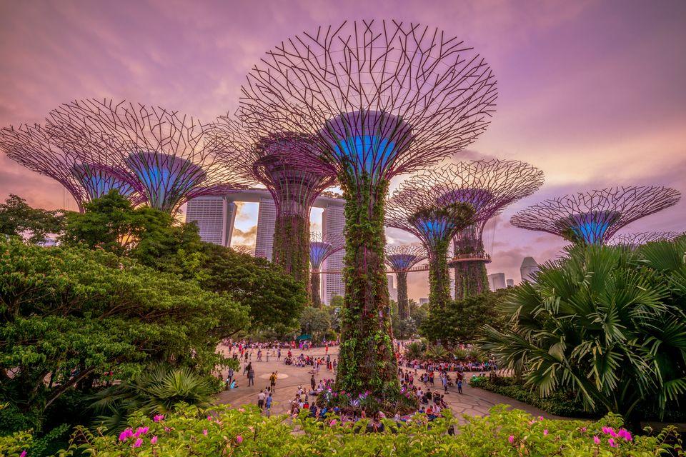 Gardens By The Bay In Singapore