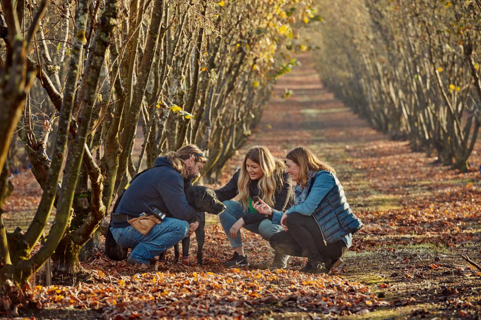 Hunting for Truffles credit Frances Andrijich