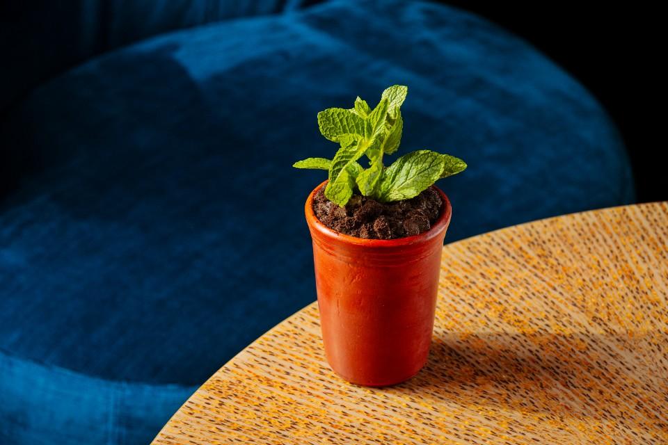Innovative Future_Plant-ish