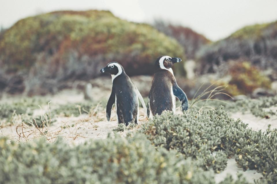 Cape Town South Africa