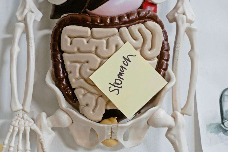 5 Conditions That May Be Causing Your Gastric Pain