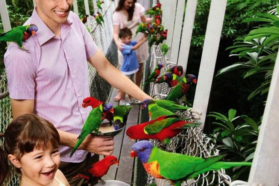 Jurong Bird Park