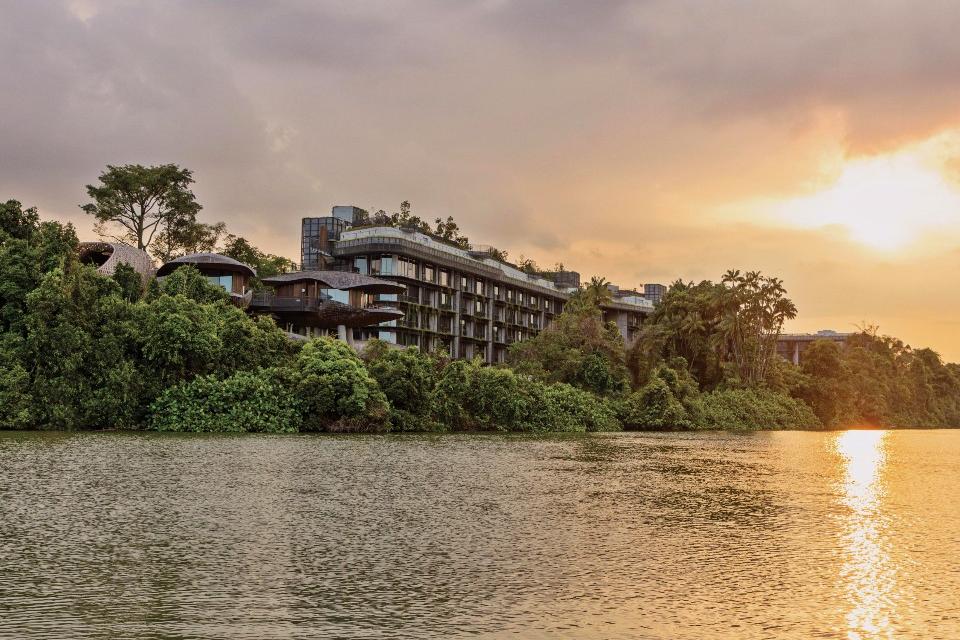 A Gateway to Wildlife Experiences