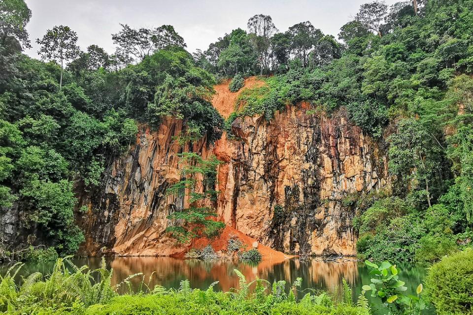 Bukit Batok Nature Park