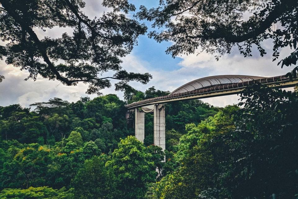 Henderson Waves