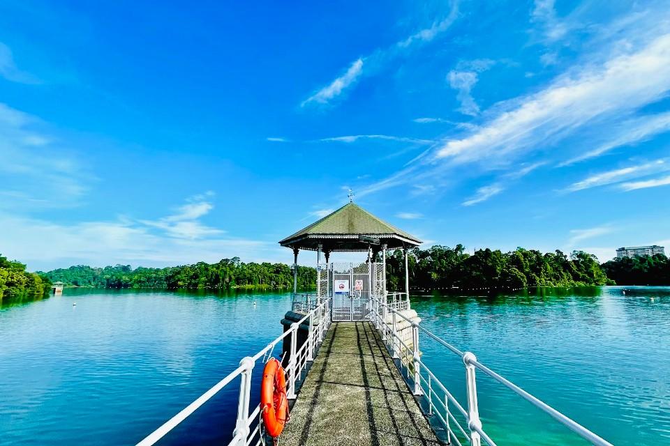 MacRitchie Reservoir