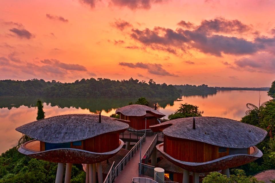 Nature-Inspired Accommodation