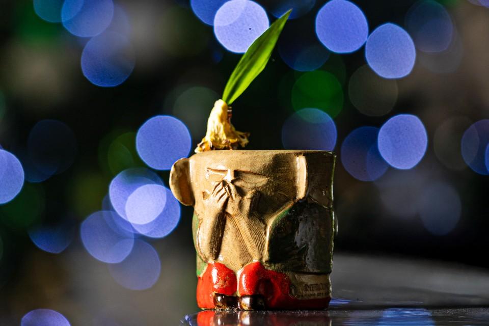 Special drink at Long Bar