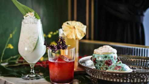 New Drinks Programme