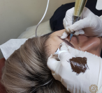 Browtisan