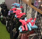 Holey Moley Golf Club