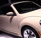 Car Renting