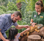 Singapore Zoo