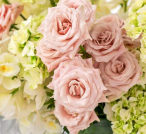 Bliss Flower Boutique