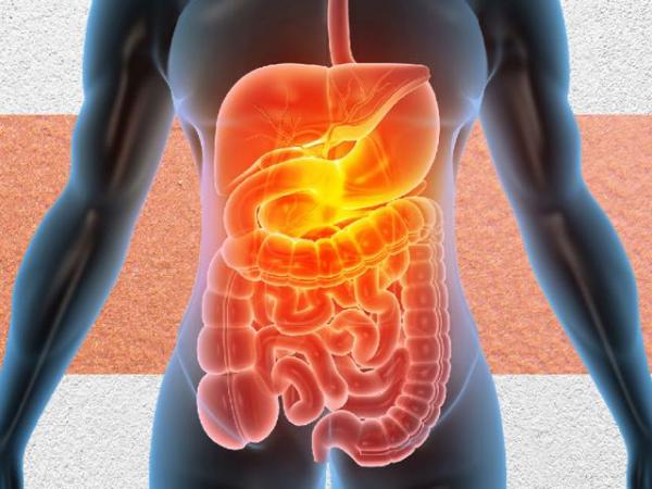 Alpha Digestive and Liver Centre