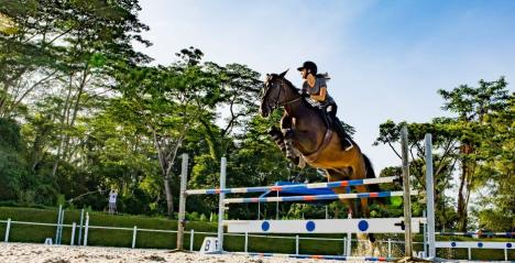 Bukit Timah Saddle Club