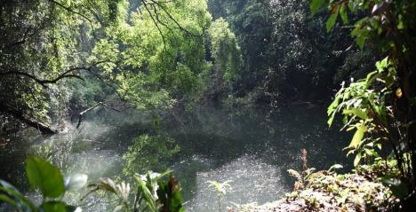 Keppel Hill Reservoir