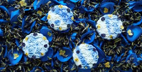 Blue Pea Flower with White Lotus Paste