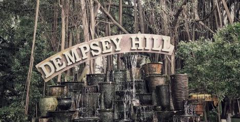 The Hills Of Dempsey