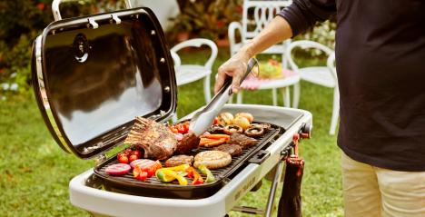 Introducing the Weber Traveler Portable Grill