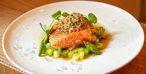 ora king salmon