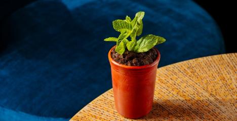 Innovative Future_Plant-ish