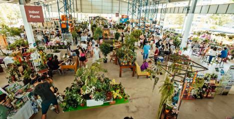 Sunday Social Market Bids Farewell to Sing See Soon Simei