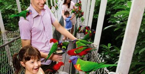 Jurong Bird Park