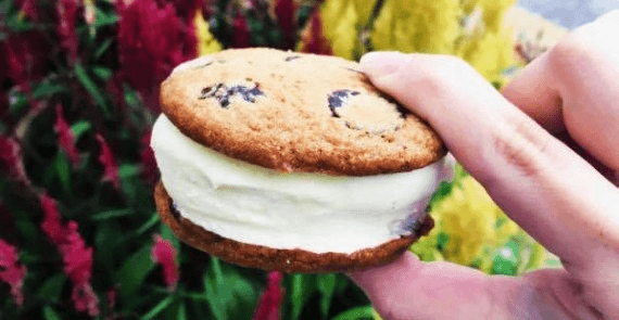 The Ice Cream Cookie & Co.